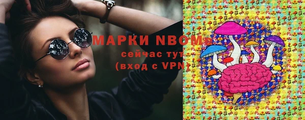 PSILOCYBIN Белокуриха