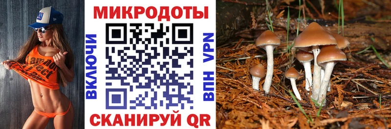 Галлюциногенные грибы мухоморы  что такое наркотик  Бирск 