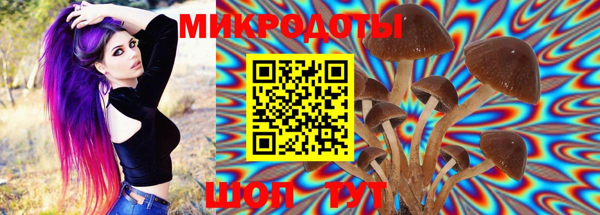 Псилоцибиновые грибы Psilocybe  Вход с VPN  купить закладку  Бирск  Галлюциногенные грибы прущие грибы 