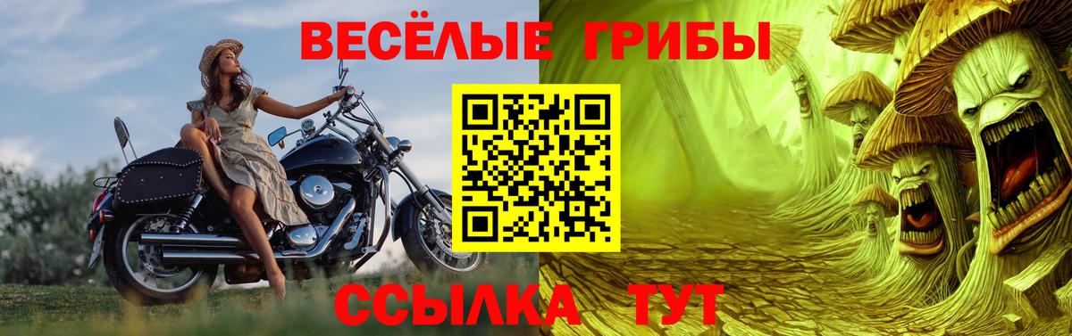 Псилоцибиновые грибы ЛСД Бирск
